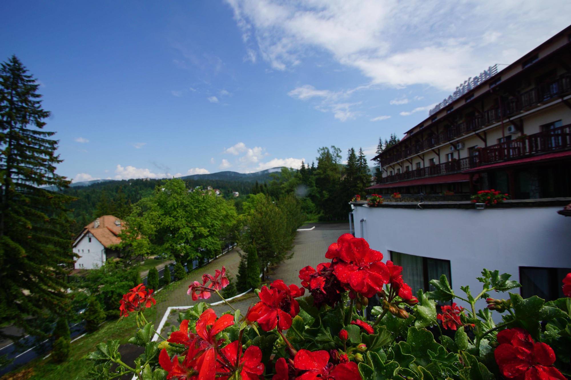 Hotel Rozmarin Predeal Exterior photo